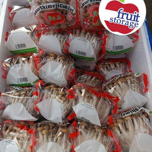 Jual Jamur Shimeji / Shimeji Mushroom Fresh Import Brown Jakarta