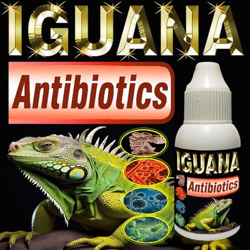 Promo IGUANA ANTIBIOTIK VITAMIN REPTILE SUPLEMEN OBAT PENYAKIT