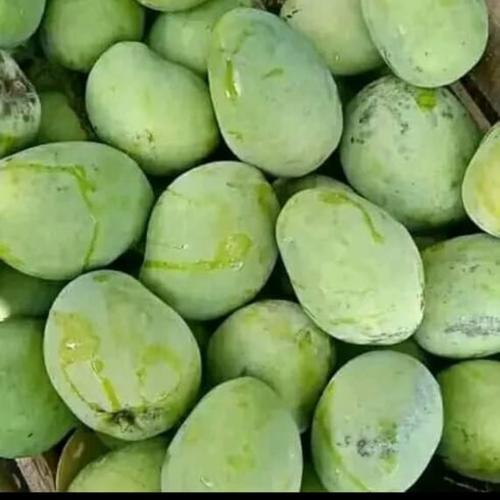 Jual buah mangga cengkir indramayu - Kota Bandung - PRS buah segar ...