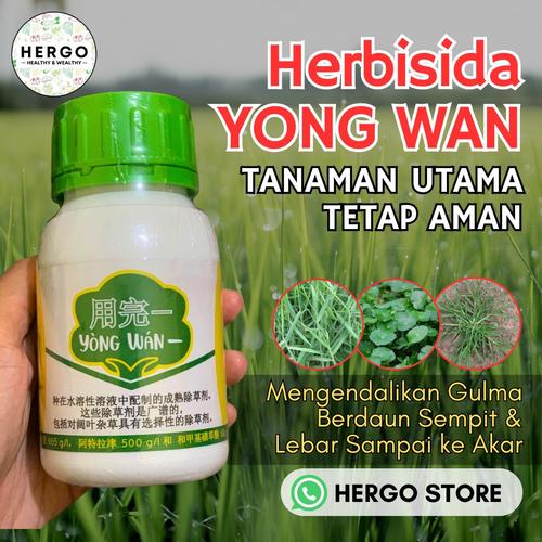 Jual Herbisida Viral YONG WAN Atasi Rumput & Gulma, Tanaman Utama Tetap ...