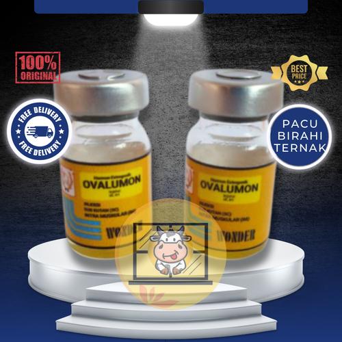 Dosis dan Cara Pemberian Ovalumon yang Tepat