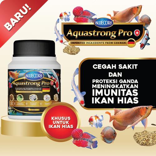 Peran Imunitas Ikan Hias dan Cara Meningkatkannya dengan Pakan