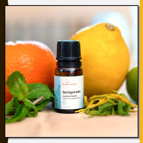 Invograte Jual Summerscent Pure Essential Oil INVIGORATE BLEND 10ml Aromatherapy ...