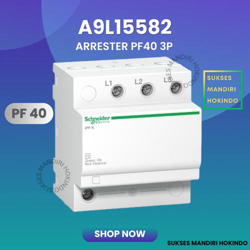 Promo Surge Arrester PF40 3P 40kA 3Phase Schneider A9L15582 - Jakarta ...