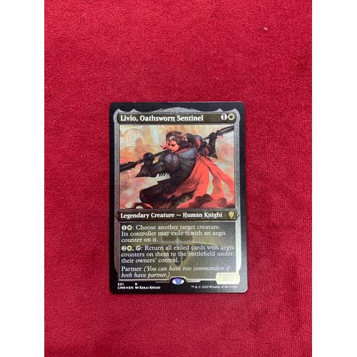 Jual MTG Livio, Oathsworn Sentinel CMR (Foil Etched) Kota Bandung
