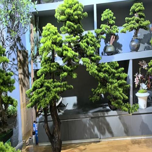 Jual Tanaman Hias Pohon Bonsai Jepang Jumbo / Artificial Decor Tree EB