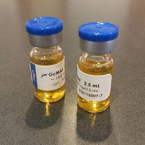 Jual GcMAF serum IM atau Subkutan 2.5ml untuk terapi kanker stadium ...