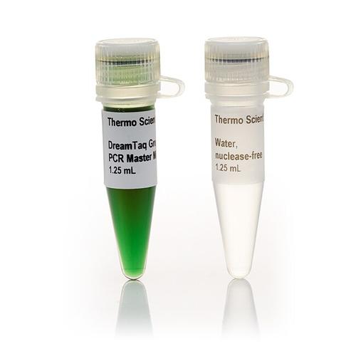 Master Mix Lab Jual DreamTaq PCR Master Mixes (2X) 1000 reactions | Thermo Scientific ...
