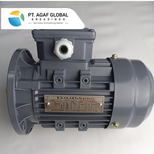 Jual EMMELEKTRIM THREE PHASE INDUCTION MOTOR (85) IE2 4P-0,25HP