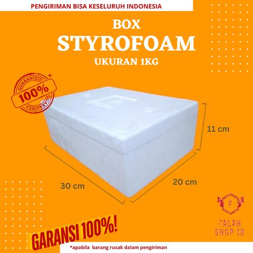 Promo STYROFOAM BOX 1 KG / Box 1KG UK 30 X 20 X 11 CM / Sterofoam 1kg ...