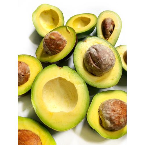 Foto Produk Alpukat Mentega Avocadron dari Avocadron
