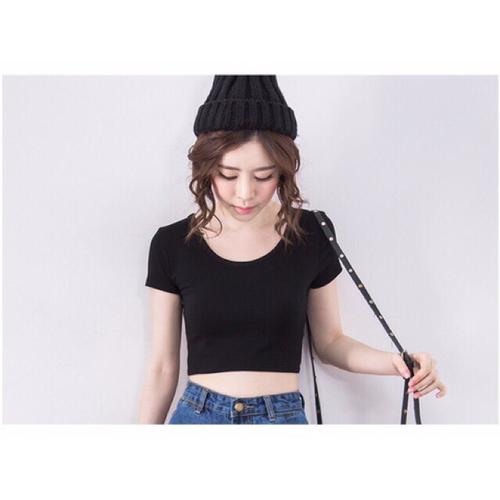 Jual Basic Crop Tee Korean Style Baju 