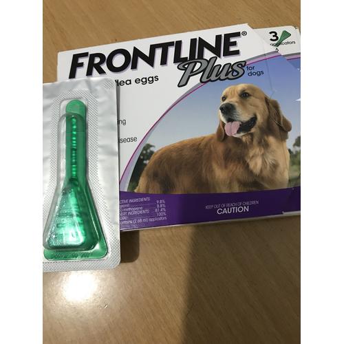 frontline anjing