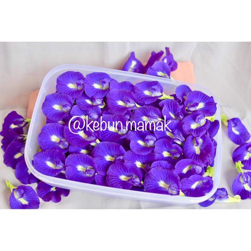 Jual Bunga Telang Segar Butterflypea Flower Kota Medan Kebun Mamak Tokopedia