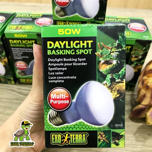 Foto Produk EXOTERRA DAYLIGHT BASKING SPOT 50WATT LAMPU EXOTERRA REPTIL TORTO dari XDR TURTLE