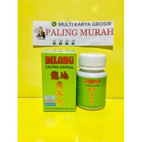 Gambar Dilong Kapsul Cacing Obat Tifus / Tipes / Typhus / Panas Dingin dari TOKO CAHAYA 89 undefined Tokopedia