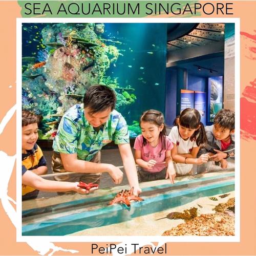 Foto Produk tiket sea aquarium singapore anak dari PeiPei Travel