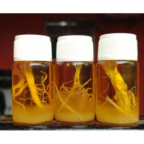 Foto Produk MINYAK BULUS GINSENG 10ML dari Herbis