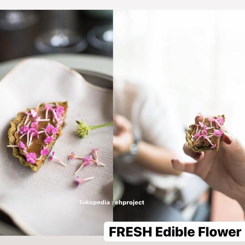 Foto Produk EDIBLE FLOWER CONFETTI MIX Fresh Segar Organik Plating Garnish Salad dari ehproject