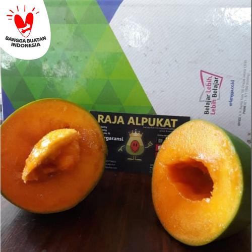 Foto Produk MANGGA ALPUKAT dari RAJA ALPUKAT