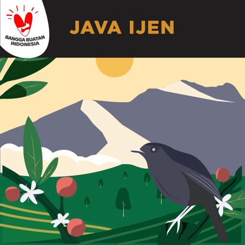 Foto Produk Kopi Single Origin Arabica Gunung Ijen 250gr dari Gerilya Coffee