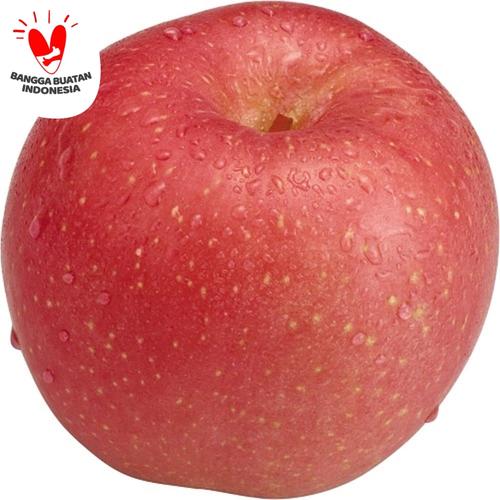Foto Produk APEL FUJI FRESH dari RAJA ALPUKAT