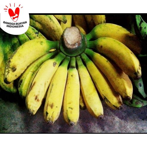 Gambar BUAH PISANG RAJA dari (SB) sahabat buah Jakarta Barat Tokopedia