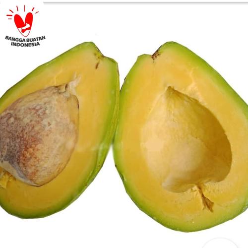 Foto Produk (PAKET 2 KG) Alpukat Mentega Reguler dari RAJA ALPUKAT