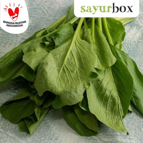 Foto Produk Sawi Hijau Conventional 250 gram Sayurbox dari Sayurbox