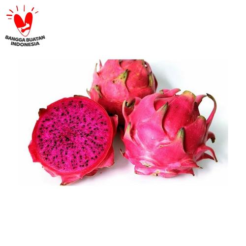 Foto Produk BUAH NAGA MERAH LOCAL dari RAJA ALPUKAT