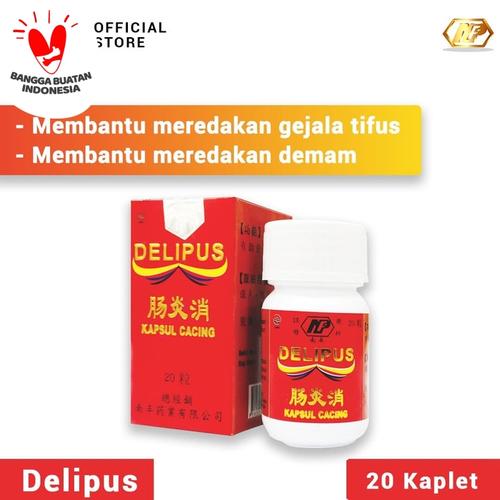 Foto Produk Nan Fung - Delipus Kapsul Cacing Obat Herbal untuk Demam dan Tifus dari CITRA DELI KREASITAMA