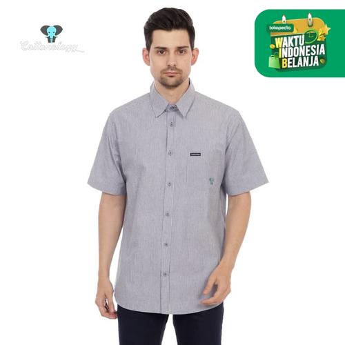 Foto Produk Kemeja Lengan Pendek Pria Cottonology David Biru - L dari Cottonology Indonesia