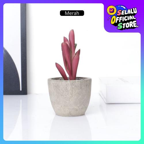 Foto Produk Aonez Tanaman succulent buatan terlihat asli dengan pulp pot - Merah dari AONEZ Official Store