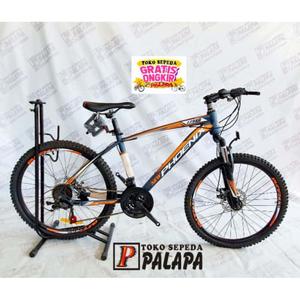 Jual Unik MTB 24 PHOENIX 179 XR Sepeda 