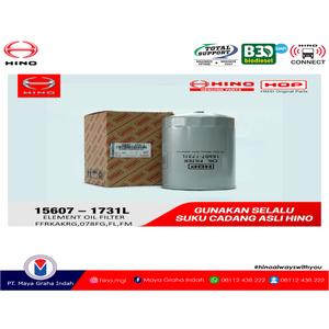 Foto Produk ELEMENT O/F FFRK AK RG, 078 FG / 15607-1731L dari mayagrahaindahofficial