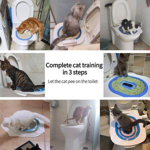 kitten toilet training