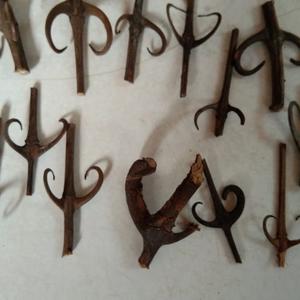 9900 Gambar Cakar Unggas Gratis Terbaru