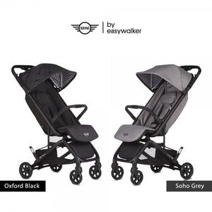 cabin approved buggy