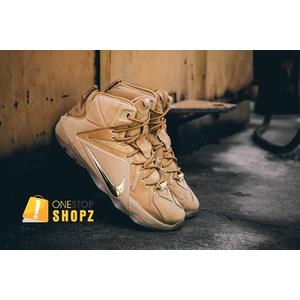 lebron 12 ext