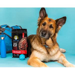 Jual New Visionary Pet Foods Low Carb, Keto Beef Recipe Freeze