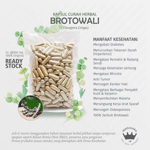 Gambar BROTOWALI 100 Kapsul Herbal Anti Tumor Rematik Diabetes Penyakit Kulit dari Indojuara Kota Bandung Tokopedia