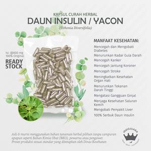 Foto Produk DAUN INSULIN YACON 100 Kapsul Curah Herbal Stroke Diabetes Liver Hati dari Indojuara