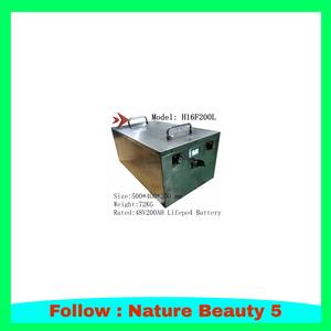 Jual Lifepo4 48V Battery Pack 16S BMS 50A 48V 300Ah 200Ah 100Ah Lithium ...