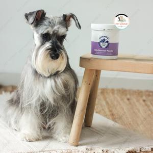 dorwest kelp seaweed powder