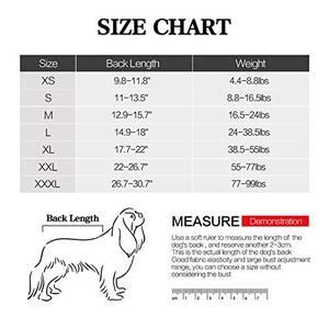 pressure jacket for dogs