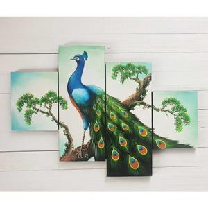 1010+ Gambar Burung Merak Asli Gratis