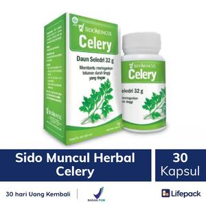 Gambar SIDOMUNCUL HERBAL CELERY - Pereda Tekanan Darah Tinggi - LIFEPACK dari lifepack Jakarta Selatan Tokopedia