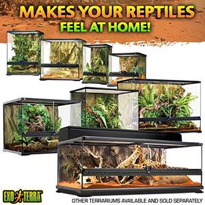 Exo Terra Glass Terrarium Kit, for Reptiles and Amphibians, Nano di Pets  Usa Tokopedia