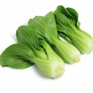 Jual pakcoy // pok cay - Jakarta Pusat - Chord Store | Tokopedia