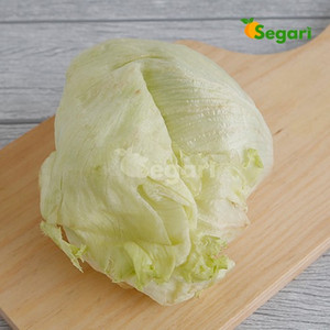 Gambar Lettuce Head 300 - 350 gram / pack dari Segari Kota Tangerang Selatan Tokopedia